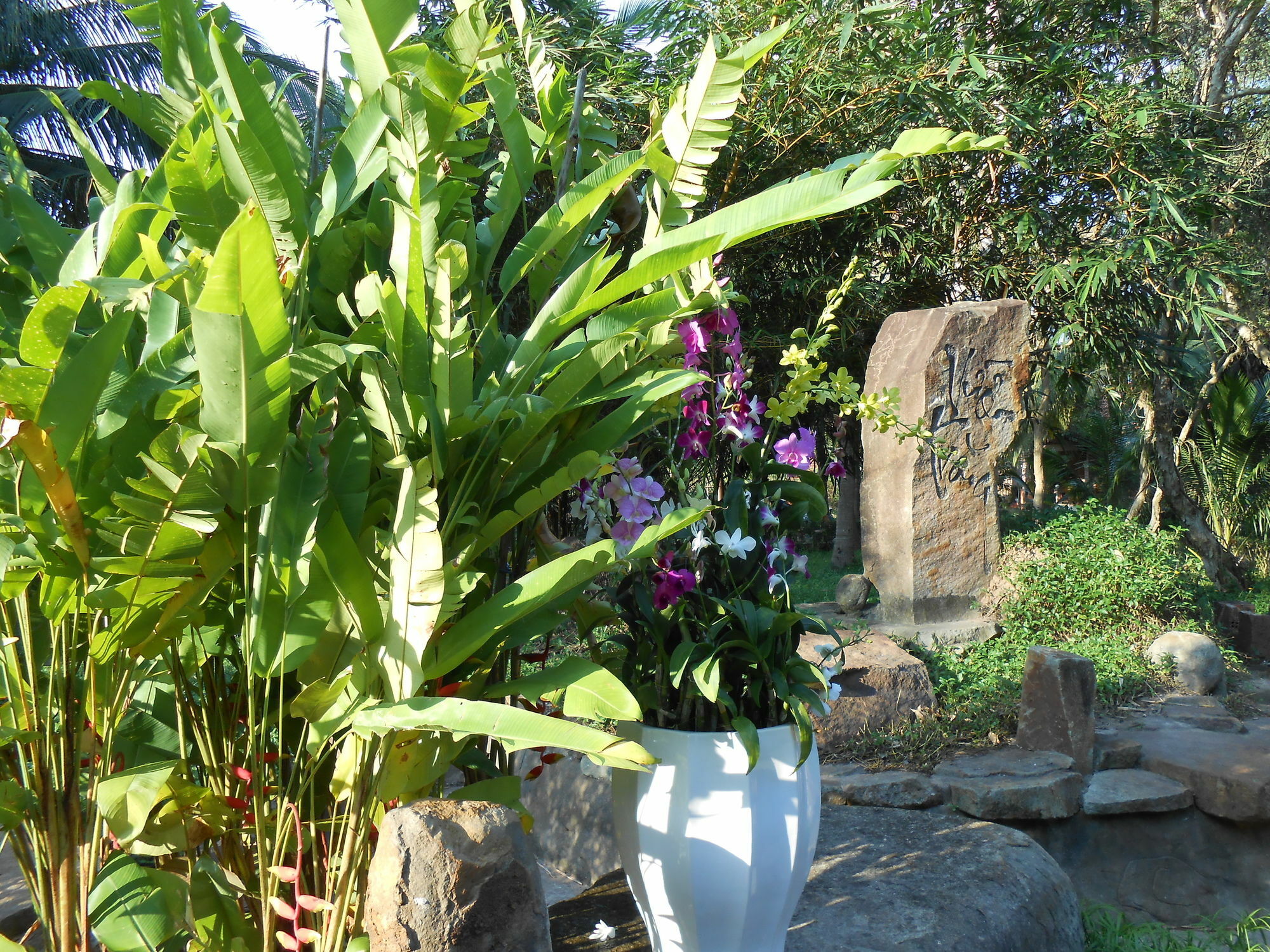 Minera Hot Springs Binh Chau Exterior foto